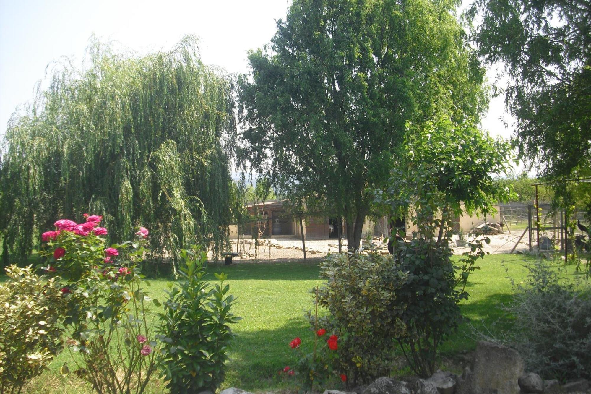 Appartamento Lou Mas Li Pitchoun "L'Olivade" Gordes Esterno foto