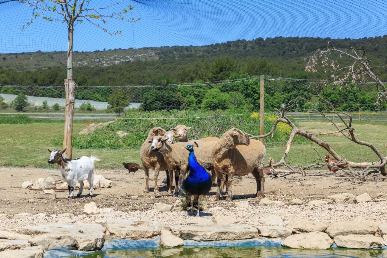 Appartamento Lou Mas Li Pitchoun "L'Olivade" Gordes Esterno foto